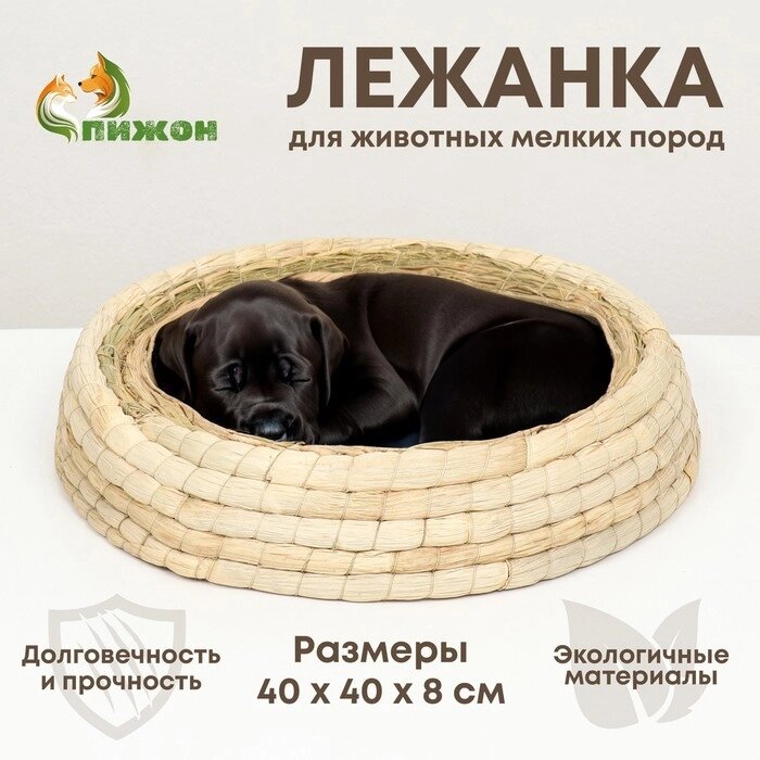 Экологичный лежак для животных (хлопок+рогоз),  40 см, белая от компании Интернет - магазин Flap - фото 1