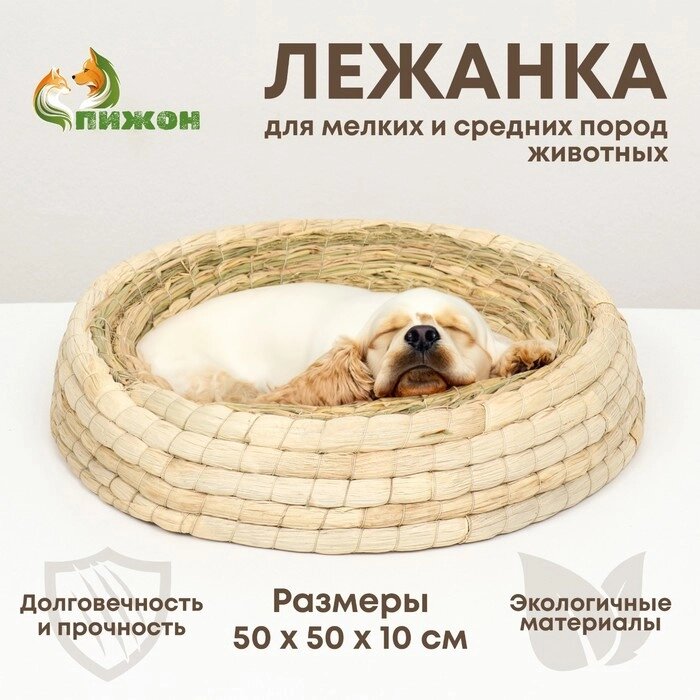 Экологичный лежак для животных (хлопок+рогоз),  50 см, белая от компании Интернет - магазин Flap - фото 1