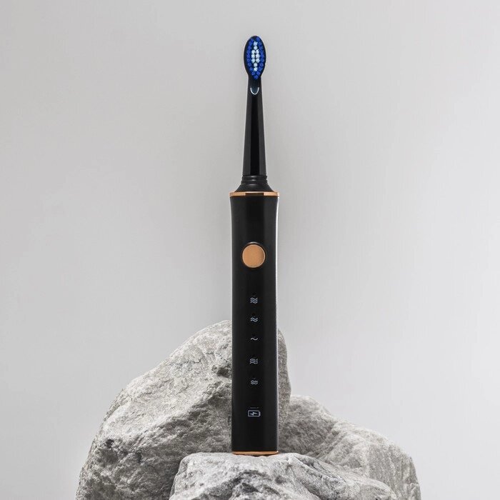 Электрическая зубная щётка Luazon LP-002, вибрационная, 31000 дв/мин, 4 насадки, АКБ, черная от компании Интернет - магазин Flap - фото 1