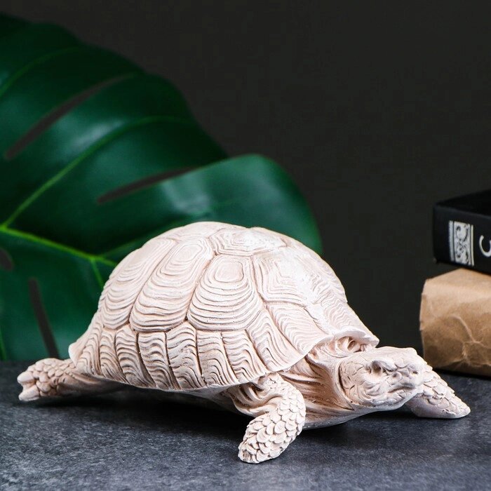 Фигура "Черепаха греческая" слоновая кость, 18х15х10см от компании Интернет - магазин Flap - фото 1