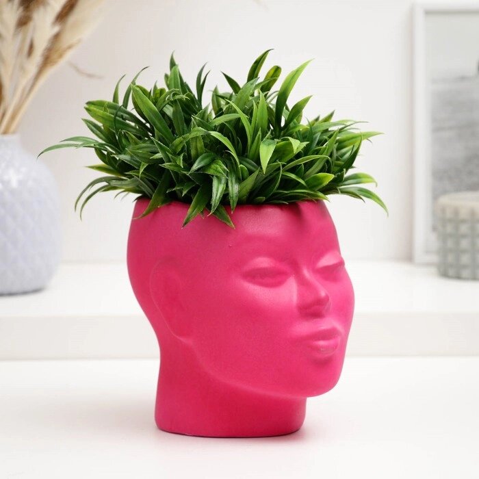 Фигурное кашпо "Голова девушки" розовое, 16х14х16см от компании Интернет - магазин Flap - фото 1