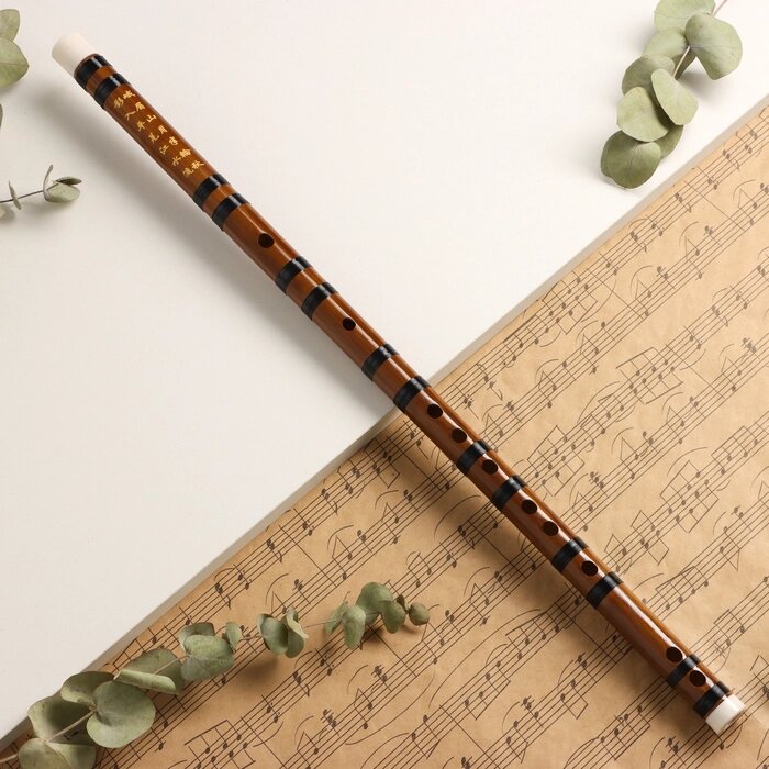 Флейта Music Life 48 см, бамбук, тональность D от компании Интернет - магазин Flap - фото 1
