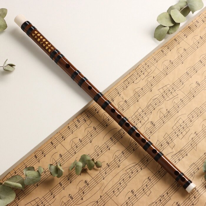 Флейта Music Life 48 см, бамбук, тональность F от компании Интернет - магазин Flap - фото 1