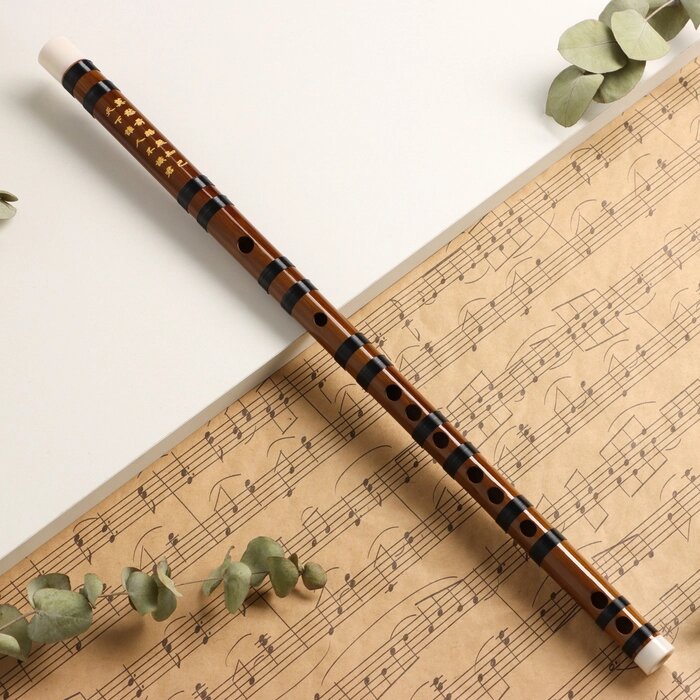 Флейта Music Life 48 см, бамбук, тональность G от компании Интернет - магазин Flap - фото 1