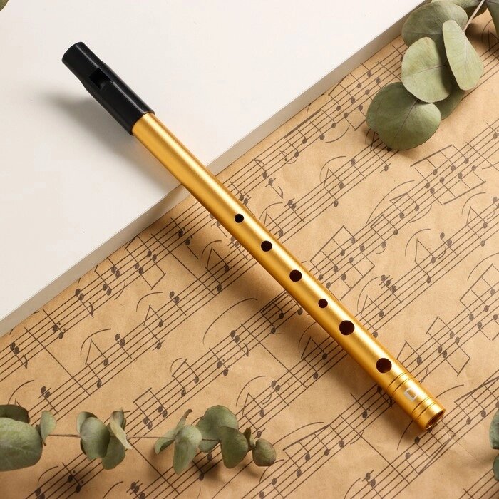 Флейта Music Life D,  золотая, 30 см от компании Интернет - магазин Flap - фото 1