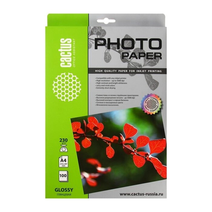 Фотобумага для струйной печати А4, 100 листов Cactus, 230 г/м2, односторонняя, глянцевая от компании Интернет - магазин Flap - фото 1