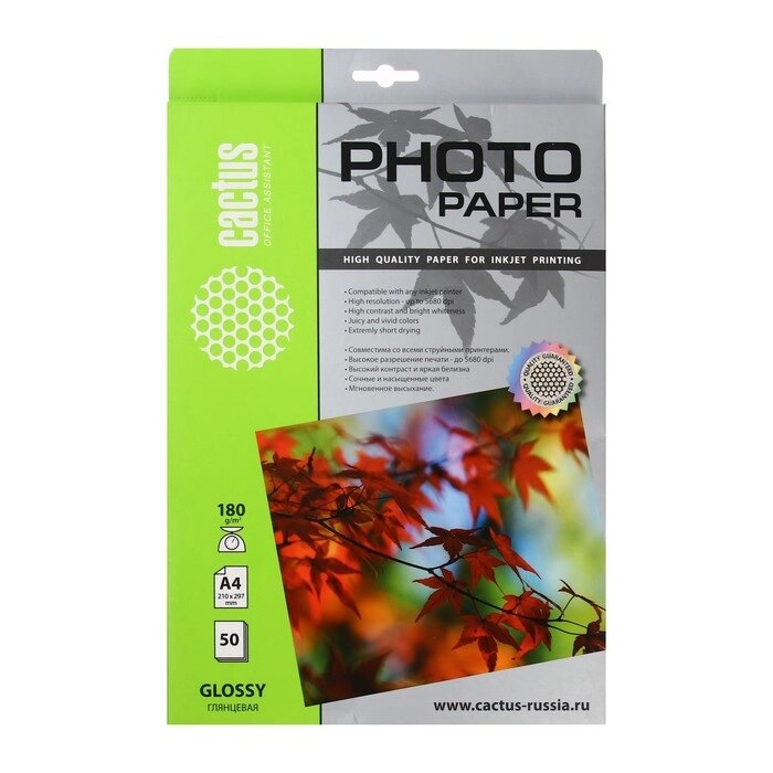 Фотобумага для струйной печати А4, 50 листов Cactus, 180 г/м2, односторонняя, глянцевая от компании Интернет - магазин Flap - фото 1