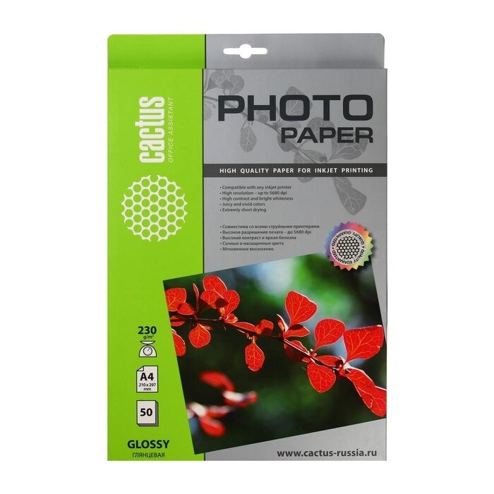Фотобумага для струйной печати А4, 50 листов Cactus, 230 г/м2, односторонняя, глянцевая от компании Интернет - магазин Flap - фото 1