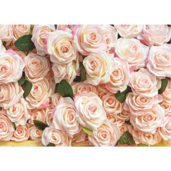 Фотообои B-013 Bellissimo "Роскошные розы", 8 листов 2800х2000мм от компании Интернет - магазин Flap - фото 1