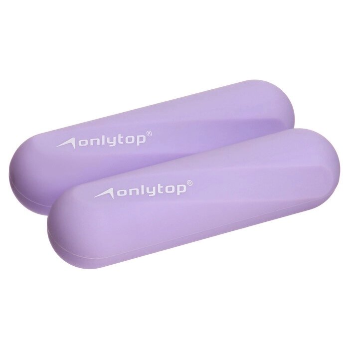 Гантели ONLYTOP для универсального отягощения, 2 шт., 0,5 кг, цвет фиолетовый от компании Интернет - магазин Flap - фото 1