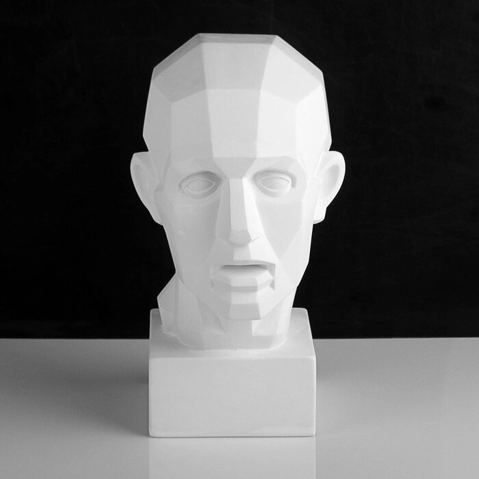 Гипсовая фигура анатомическая: обрубовка головы по Гудону, 35,5 х 20,5 х 24 см от компании Интернет - магазин Flap - фото 1