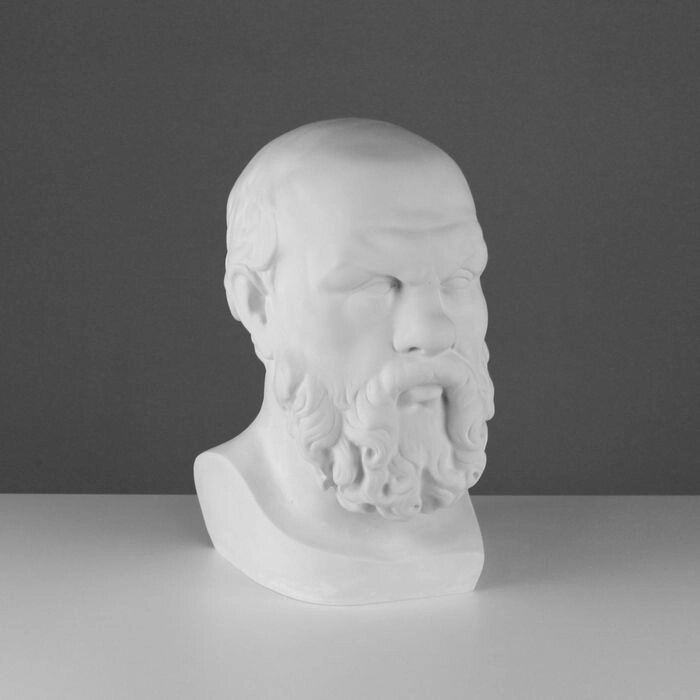 Гипсовая фигура Голова Сократа, 20 х 20 х 38,5 см от компании Интернет - магазин Flap - фото 1
