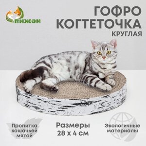 Гофрокогтеточка "Пижон" высокая круглая "Спил березы", с пропиткой, 28 х 4 см