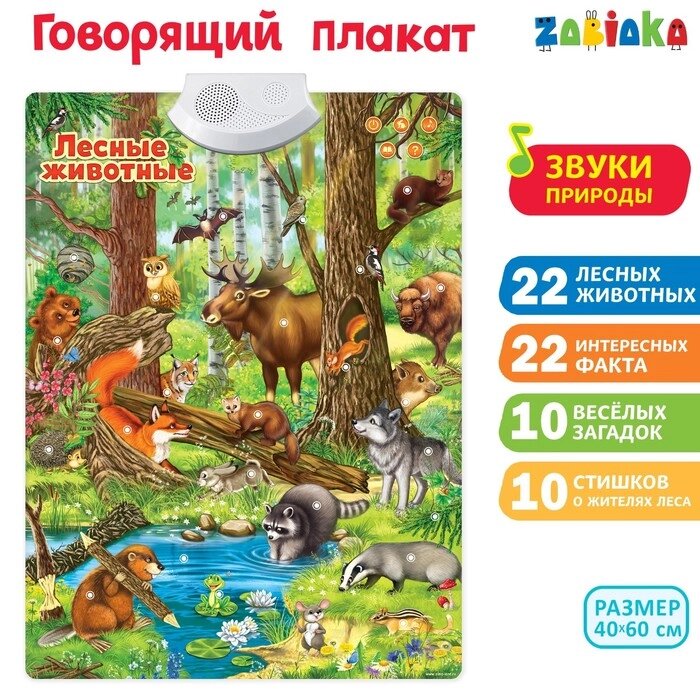 Говорящий электронный плакат «Лесные животные», работает от батареек от компании Интернет - магазин Flap - фото 1