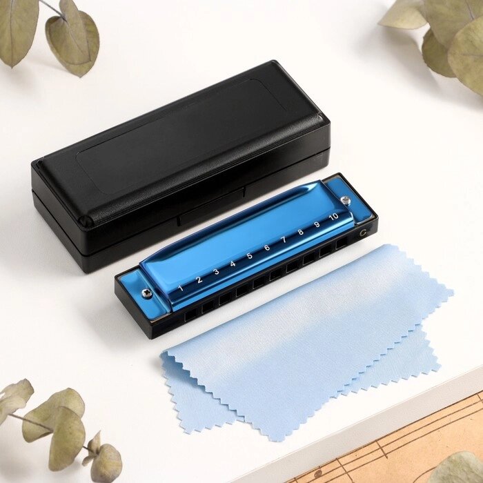 Губная гармошка Music Life T003 C диатоническая, 10 отверстий, с футляром, синяя от компании Интернет - магазин Flap - фото 1