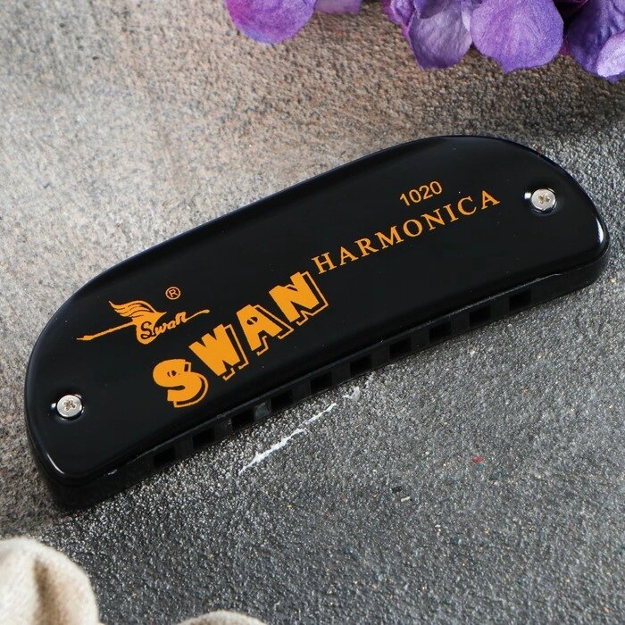 Губная гармошка Swan SW1020-16 от компании Интернет - магазин Flap - фото 1
