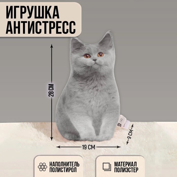 Игрушка-антистресс «Серый кот», 19х28 см от компании Интернет - магазин Flap - фото 1