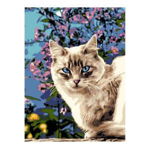 Картина по номерам «Голубоглазая красотка», на картоне 28,5 38 см