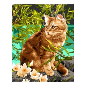 Картина по номерам холст на подрамнике «Кошечка на прогулке» 40 50 см