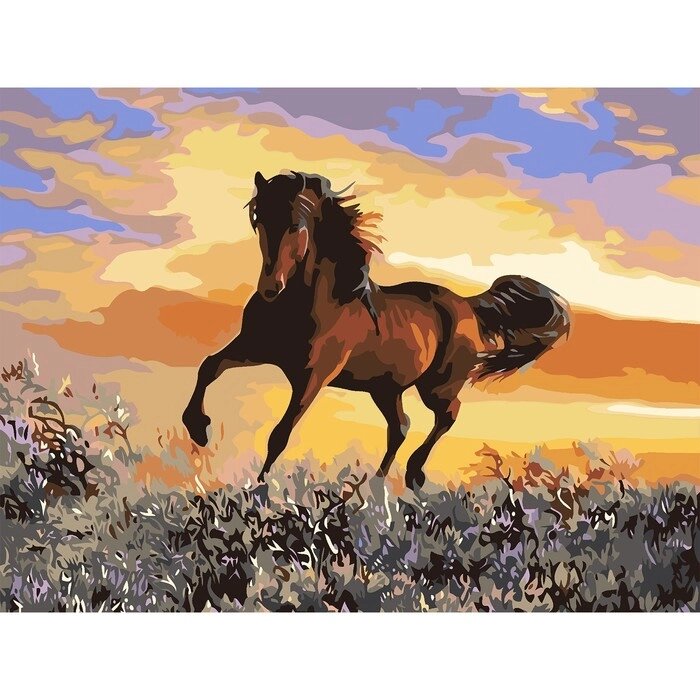 Картина по номерам на холсте с подрамником «Грациозный бег коня», 40 х 30 см от компании Интернет - магазин Flap - фото 1