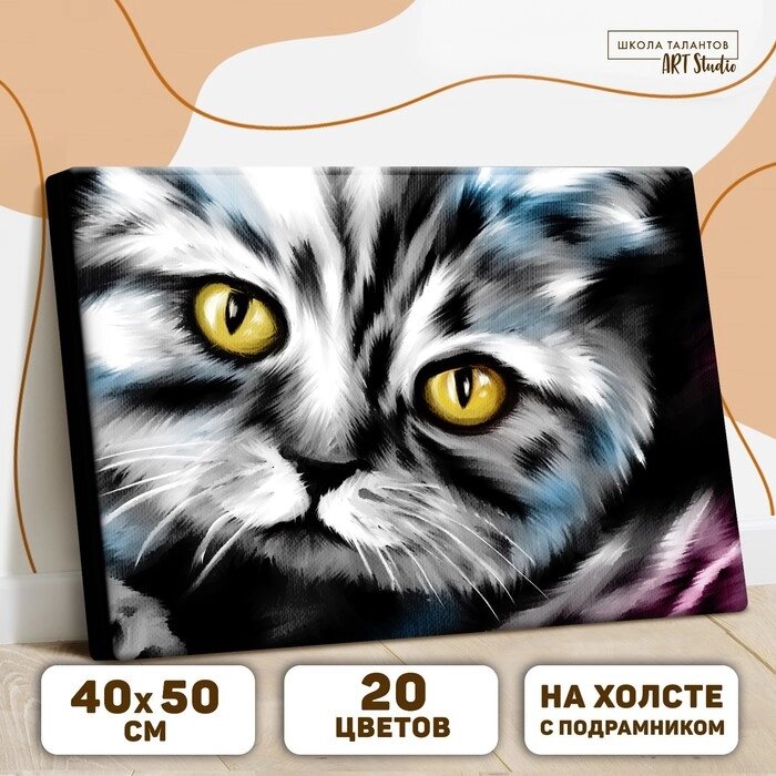 Картина по номерам на холсте с подрамником «Котик», 40 х 50 см от компании Интернет - магазин Flap - фото 1