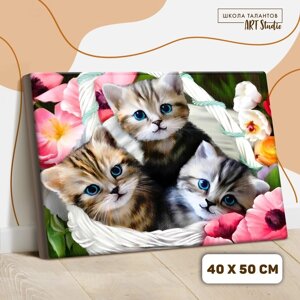 Картина по номерам на холсте с подрамником «Котята» 40 50 см