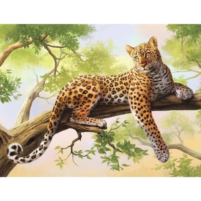 Картина по номерам на холсте с подрамником «Леопард», 40 х 30 см от компании Интернет - магазин Flap - фото 1