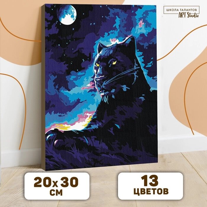 Картина по номерам на холсте с подрамником «Пантера в ночи» 20х30 см от компании Интернет - магазин Flap - фото 1