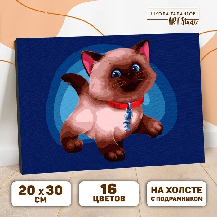 Картина по номерам на холсте с подрамником «Сиамский котёнок» 20х30 см от компании Интернет - магазин Flap - фото 1