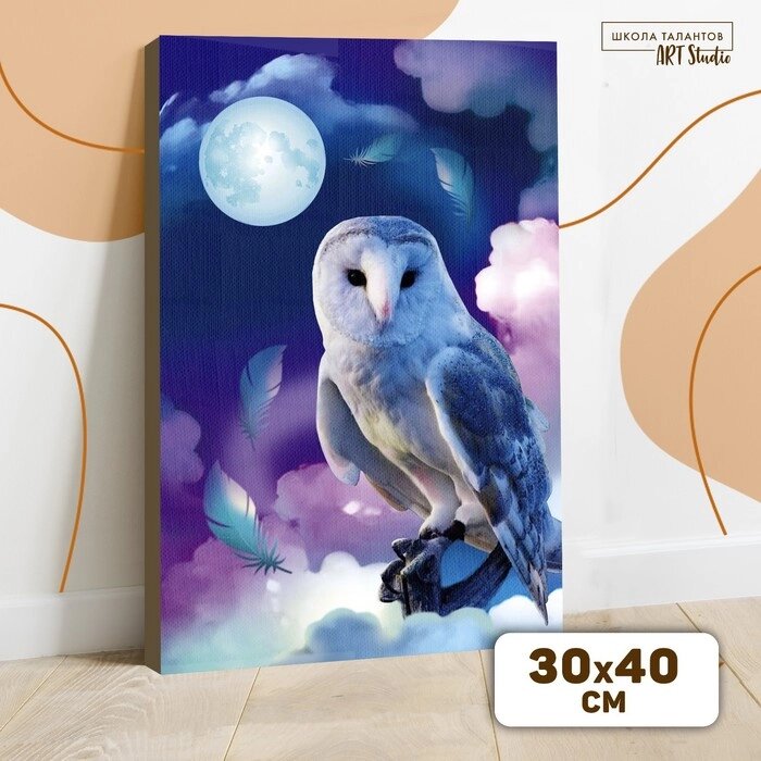Картина по номерам на холсте с подрамником «Сказочная сова», 30х40 см от компании Интернет - магазин Flap - фото 1