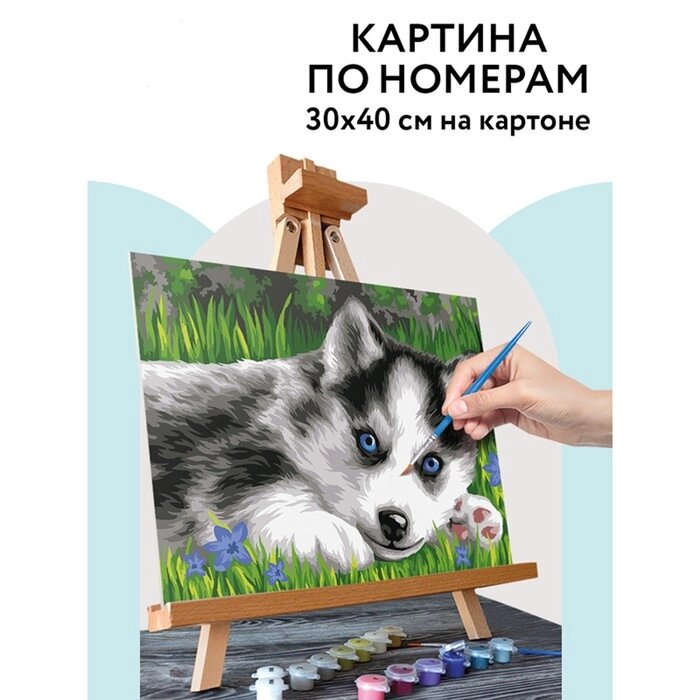 Картина по номерам на картоне 30  40 см «Голубоглазый пушистик», с акриловыми красками и кистями от компании Интернет - магазин Flap - фото 1
