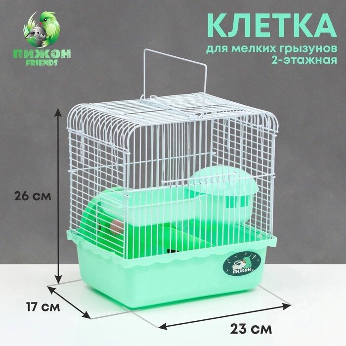 Клетка для грызунов "Пижон", 23 х 17 х 26 см, эмаль, зелёная от компании Интернет - магазин Flap - фото 1