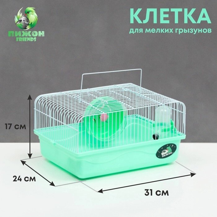 Клетка для грызунов "Пижон", 31 х 24 х 17 см, зелёная от компании Интернет - магазин Flap - фото 1