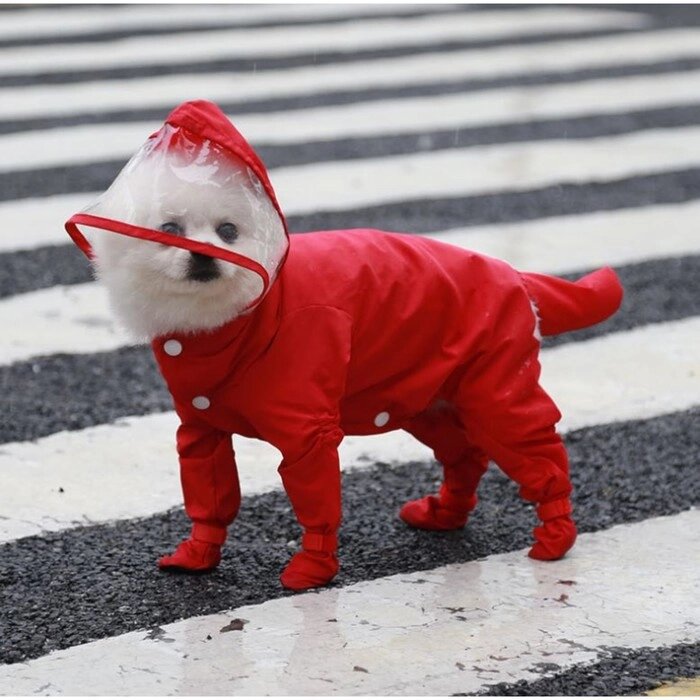 Комбинезон для собак, демисезонный с чехлами на лапы, размер XL (ДС 40, Ог 42), красный от компании Интернет - магазин Flap - фото 1