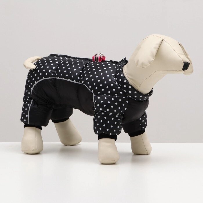 Комбинезон для собак "Горошек", размер 10 (ДС 25, ОГ 34, ОШ 24 см), чёрный от компании Интернет - магазин Flap - фото 1