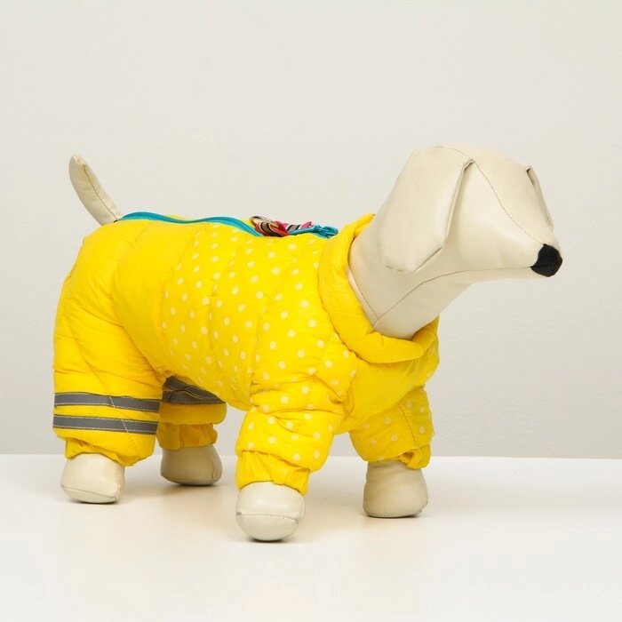 Комбинезон для собак  "Горошек", размер 10 (ДС 25, ОГ 34, ОШ 24 см), жёлтый от компании Интернет - магазин Flap - фото 1