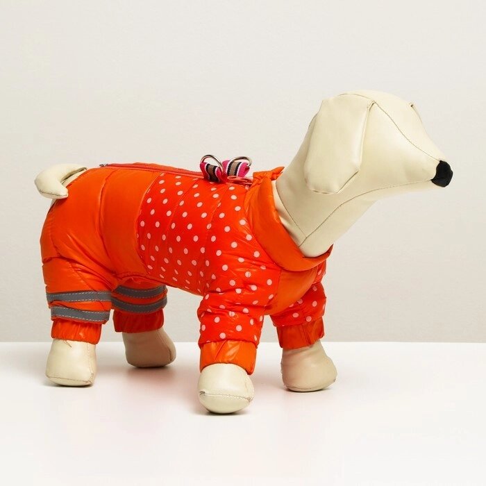 Комбинезон для собак  "Горошек", размер 14 (ДС 27, ОГ 38, ОШ 30 см), рыжий от компании Интернет - магазин Flap - фото 1