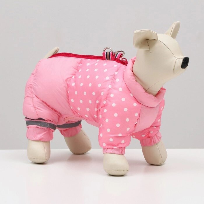 Комбинезон для собак "Горошек", размер 18 (ДС 31, ОГ 46, ОШ 38 см), розовый от компании Интернет - магазин Flap - фото 1