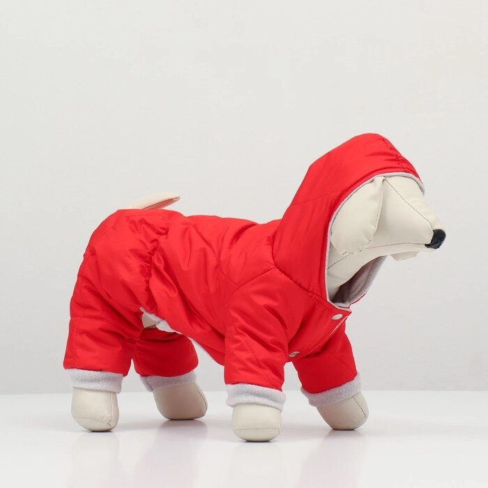Комбинезон зимний для животных, XL (ДС 32-34, ОШ 32, ОГ 40-44 см), красный от компании Интернет - магазин Flap - фото 1