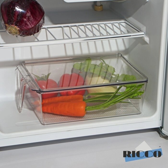 Контейнер для холодильника с крышкой и ручкой RICCO, 3220,510 см от компании Интернет - магазин Flap - фото 1
