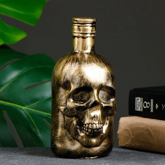 Копилка "Бутылка череп античная" от компании Интернет - магазин Flap - фото 1