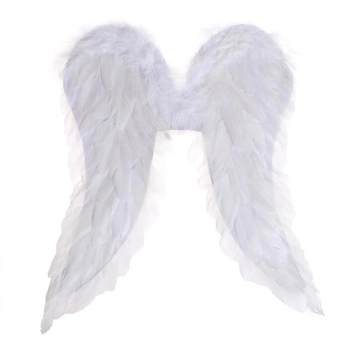 Крылья «Ангел», 50  40, цвет белый от компании Интернет - магазин Flap - фото 1