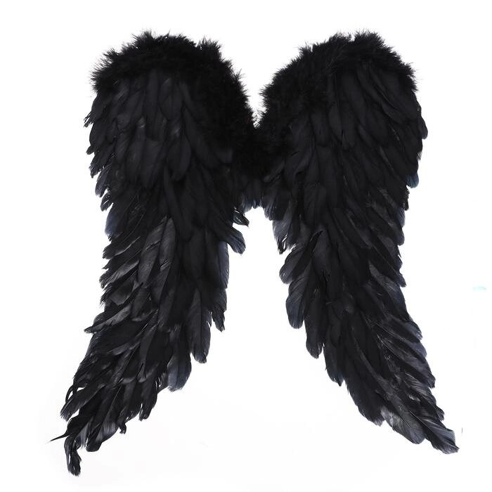 Крылья «Ангел», 50  40, цвет чёрный от компании Интернет - магазин Flap - фото 1