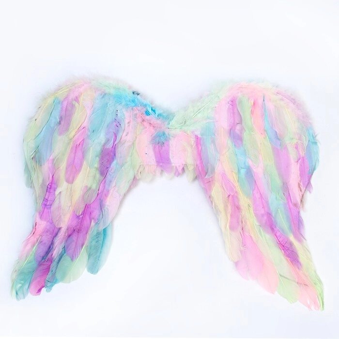 Крылья ангела 5542 см от компании Интернет - магазин Flap - фото 1