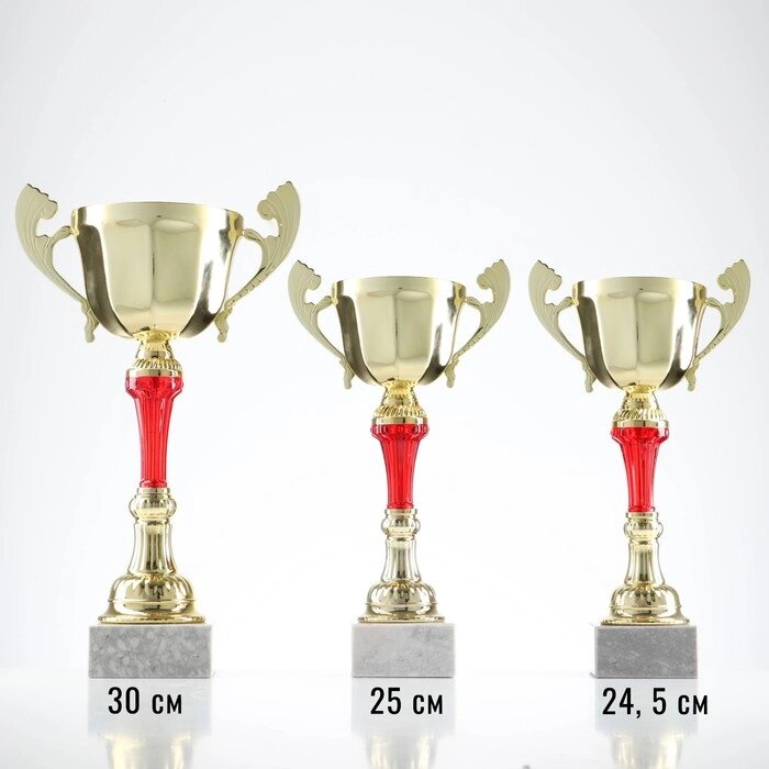 Кубок 153С, наградная фигура, золото, подставка камень, 24 x 13 x 8 см. от компании Интернет - магазин Flap - фото 1
