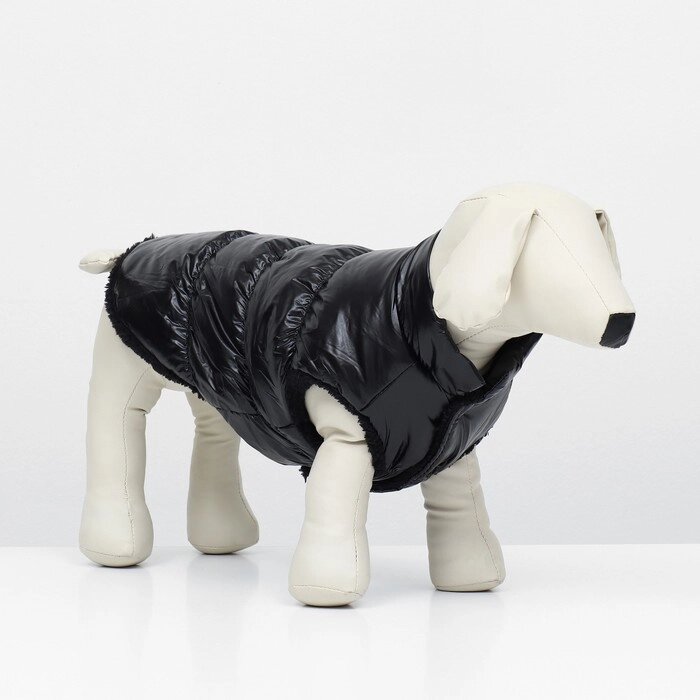 Куртка для собак "Блеск", XS (ДС 20, ОГ 28, ОШ 19 см, до 3 кг), чёрная от компании Интернет - магазин Flap - фото 1