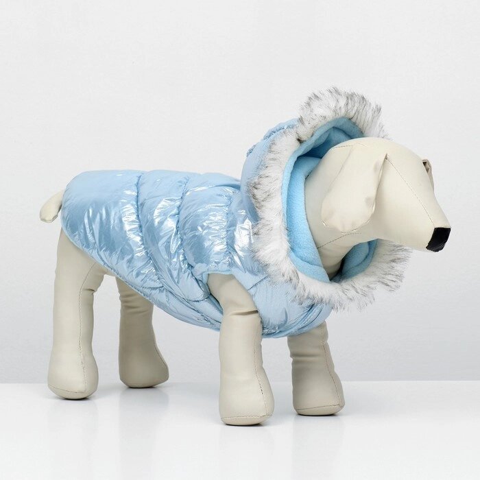 Куртка для собак "Легкость", размер S (ДС 24, ОГ 34, ОШ 24 см, до 5 кг), голубая от компании Интернет - магазин Flap - фото 1