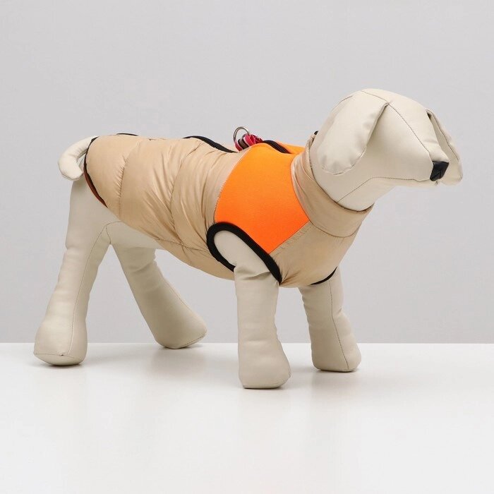 Куртка для собак на молнии, размер 18 (ДС 40 см, ОГ 50 см, ОШ 38 см), бежевая с оранжевым от компании Интернет - магазин Flap - фото 1