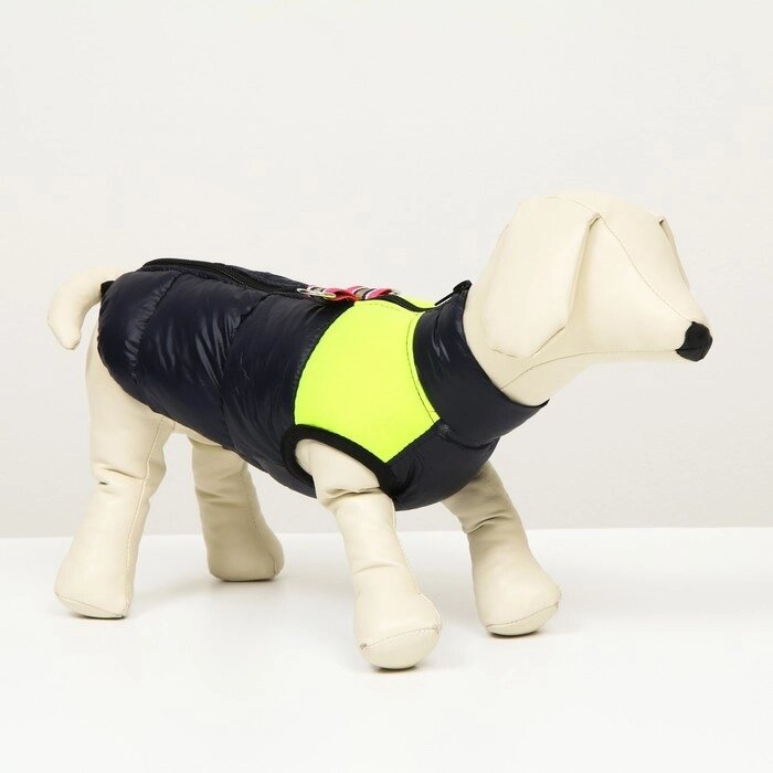 Куртка для собак на молнии, размер 8 (ДС 23 см, ОГ 30, ОШ 22 см), синяя с жёлтым от компании Интернет - магазин Flap - фото 1