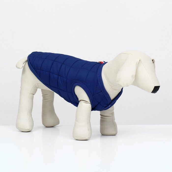 Куртка для собак "Nice", размер XS (ДС 20 см, ОШ 20 см, ОГ 28 см), синяя от компании Интернет - магазин Flap - фото 1